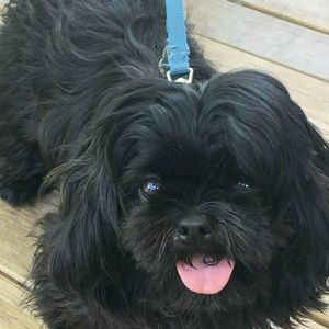 Meet your Posher, Terra